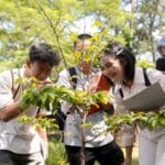 Hobbies for green tech innovation