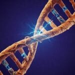 The intertwined helix